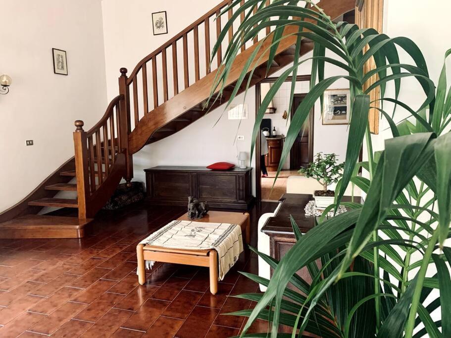 Raffinatezza Rustica Nella Campagna Veneziana Apartment Canton  Exterior photo
